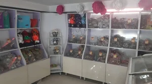 کلوچه سنتی فومن 2