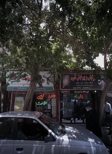 دارو گیاهی سلامت