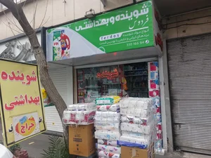 شوینده بهداشتی فردوس 2