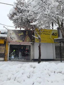 بوتیک شیک شو