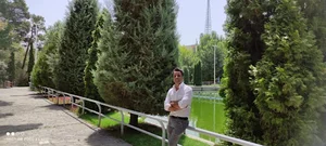 هایپر آریا