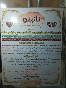 نانینو 2