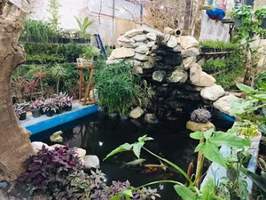 دهکده ی هنر و طبیعت