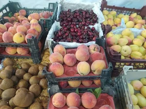 میوه فروشی خدادادی قربانی 4