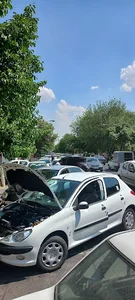مستر ریمپ