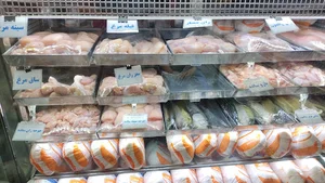 گوشت و مرغ مهدی گیشا