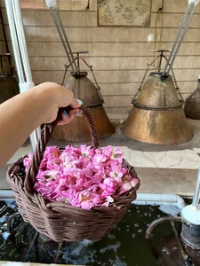 گلابگیری عرقیجات عطاری سلیمان (قمصر) 3
