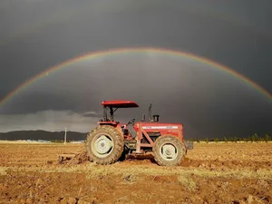 شهرک توسعه وسرمایه گذاری کشاورزی شهرستان مهربان