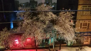 مشاور املاک مسکن تک