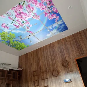 آسمان مجازی پاناکو