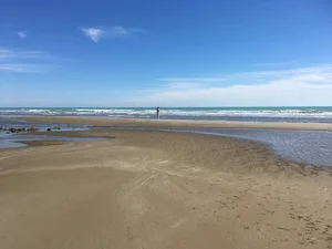 ساحل غارنمکی