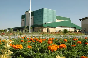 خمیر مایه رضوی