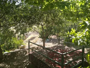 محصولات ارگانیک و ماهی سرای حصارکی 3