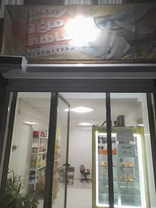 مرغ فروشی مبین