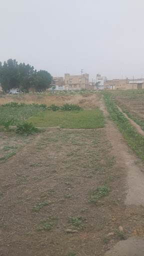 باغ سبزیجات