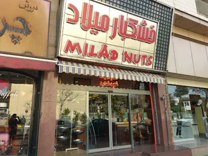 خشكبار ميلاد