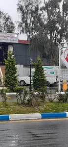 پناهگاه حیوانات مهر بابلسر
