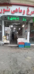 مرغ و ماهی نور