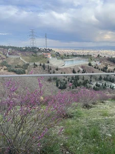 بام كوهسار شهران