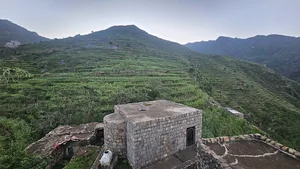 مسجد البرح