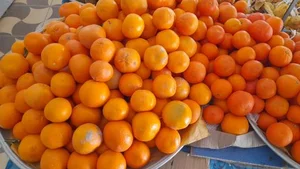 سوپر مسجد فاطمیه 5