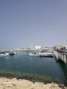Al Ruwais Port ميناء الرويس