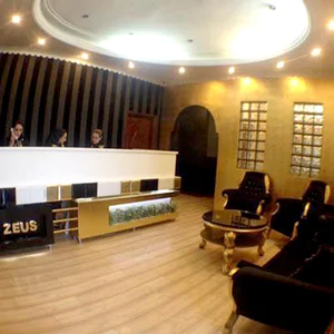 هلدینگ زئوس