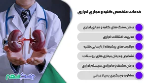 دکتر سید سعید مدرسی