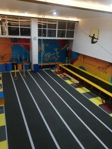 سرزمین ژیمناستیک 3