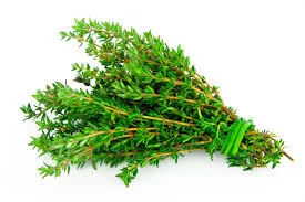 آشنایی با خواص درمانی و دارویی گیاه آنخ