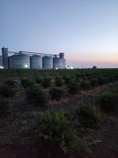 باغ انار عزیز آرخی
