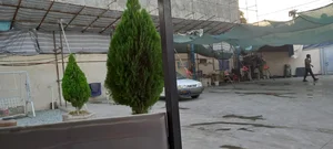 کارواش دی 5