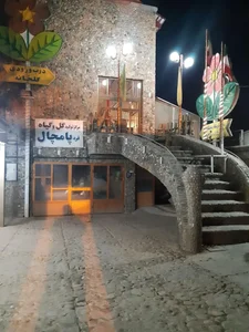 گل و گیاه پامچال 2