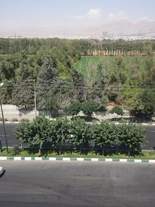 اوج تفکر عمران مجری ذیصلاح حقوقی