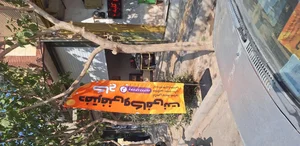 کافی نت و دفتر فنی کاج 2