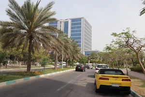 سپیدار سیر کیش