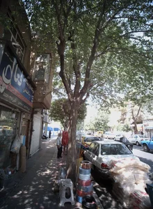 فروشگاه فعال 2