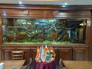 رستوران مجلل ری 4