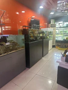 آکواریوم 4
