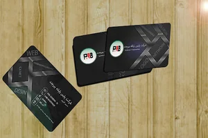 شرکت پارس رایانه بیرجند