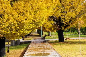 دانشکده علوم پایه