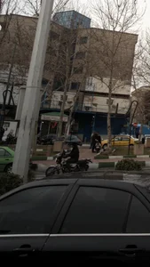 گل فروشی سلدا 2