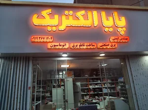 پایا الکتریک