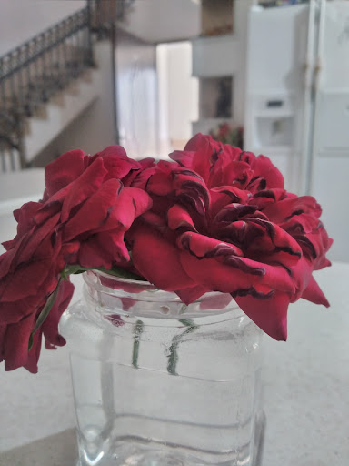 باغ گل، قدبیگی