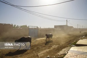 بورس شلوار ایران کتان