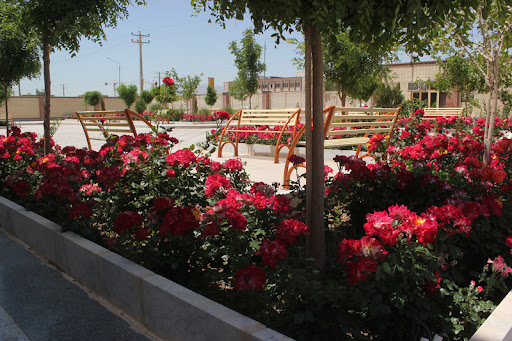 موسسه آموزش عالی هاتف