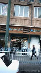 کفش اسدی