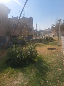 فضای سبز