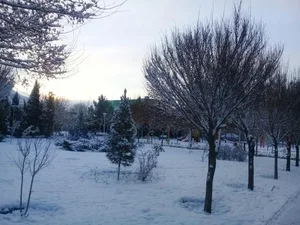 پارک فیزادان 3
