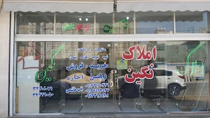 املاک نگین